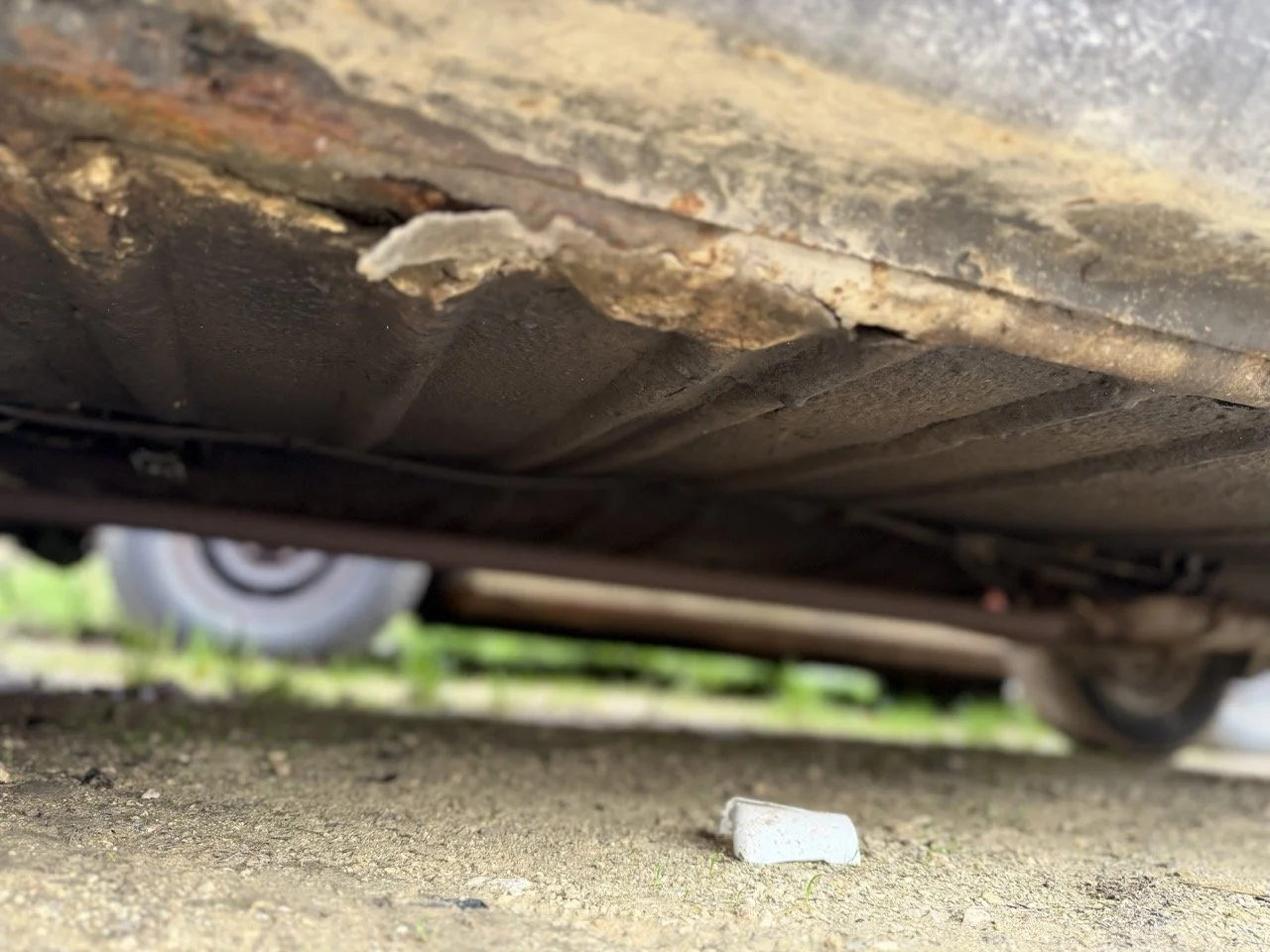 IMG_4963 – grande.jpeg