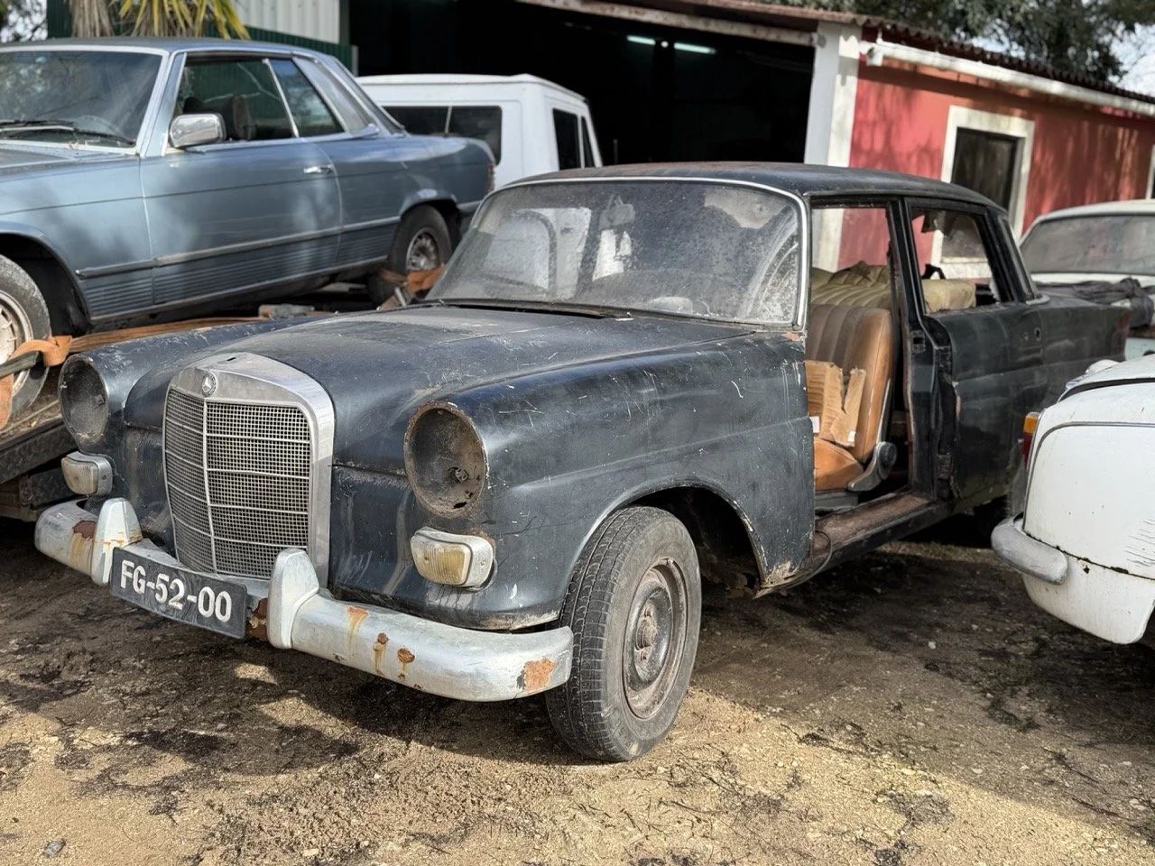 IMG_5224 – grande.jpeg