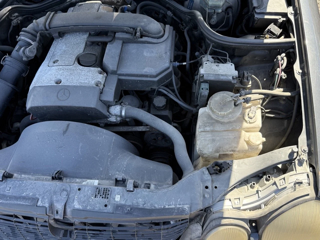 IMG_1785 – grande.jpeg