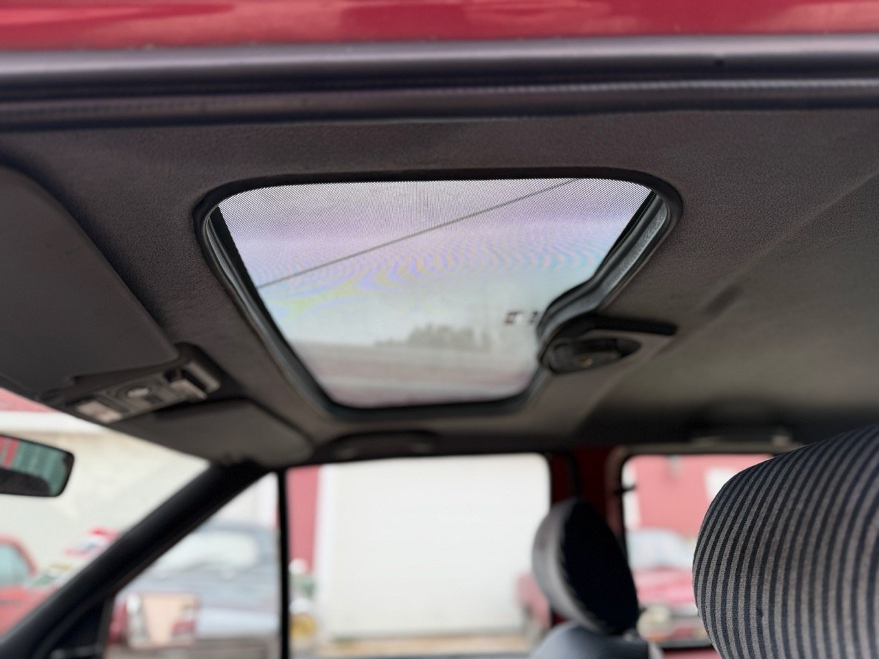 IMG_3578 – grande.jpeg