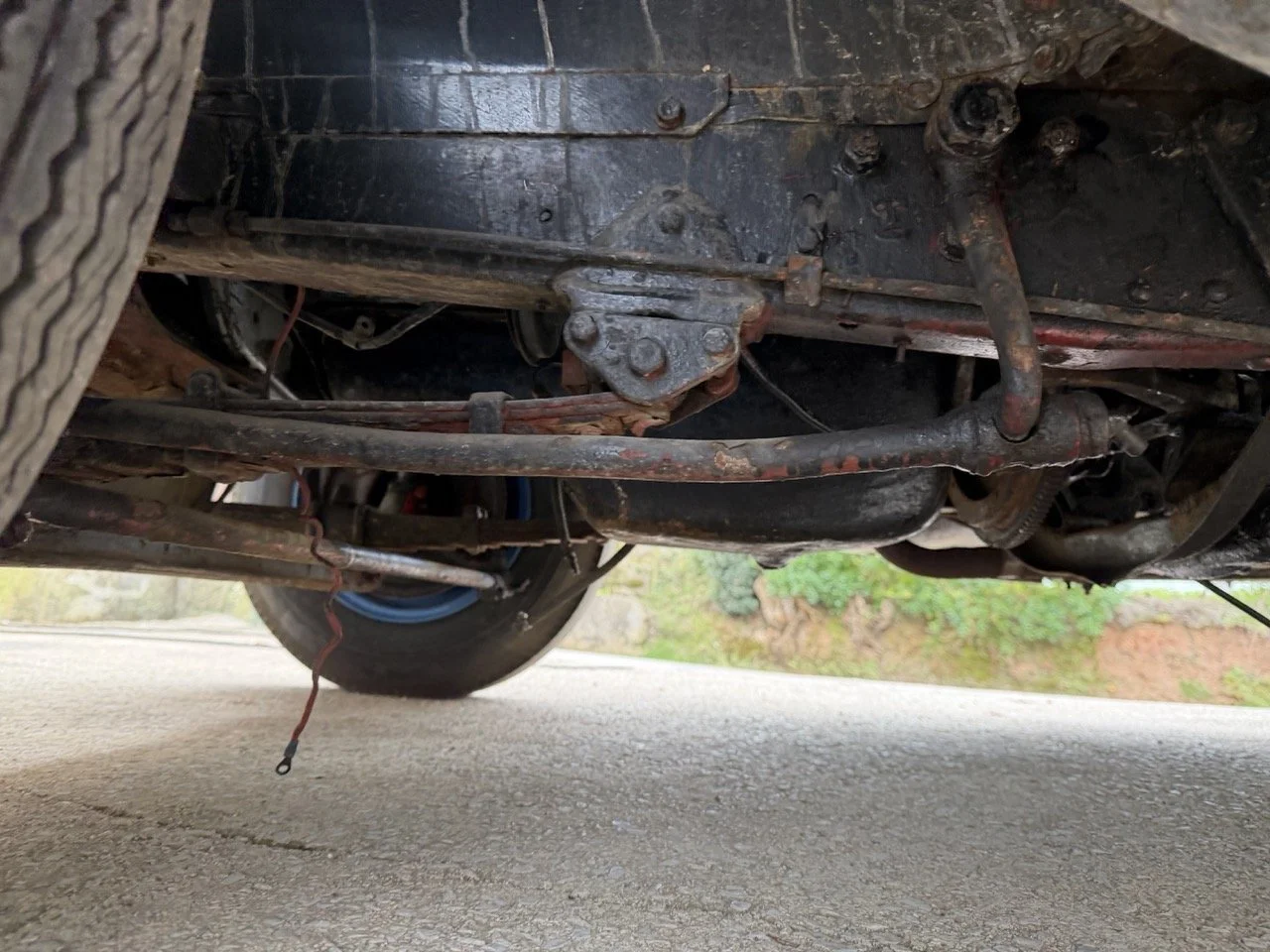 IMG_1570 – grande.jpeg