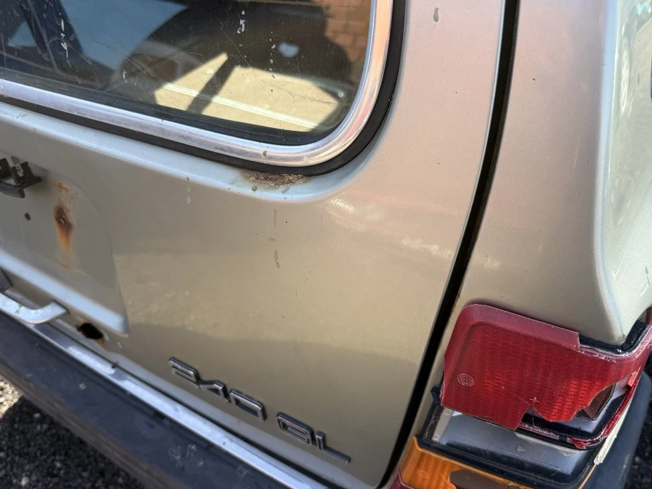 IMG_1192 – grande.jpeg