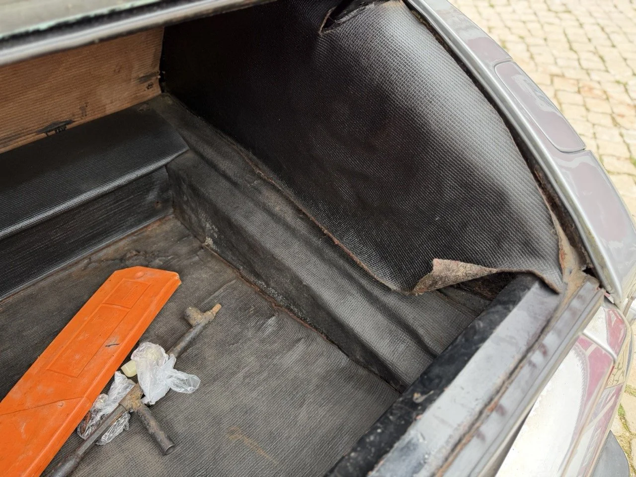 IMG_3707 – grande.jpeg