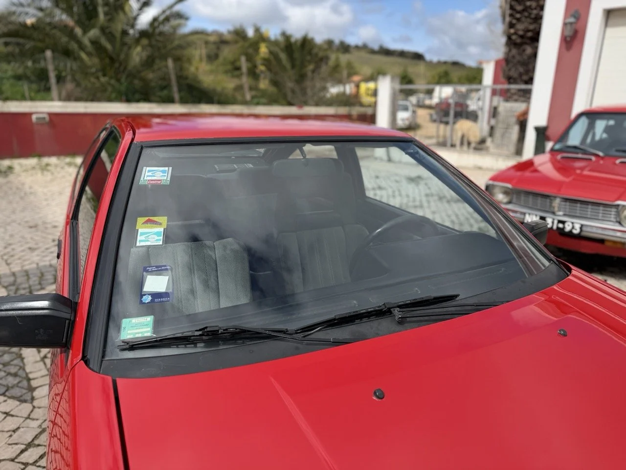 IMG_2381 – grande.jpeg