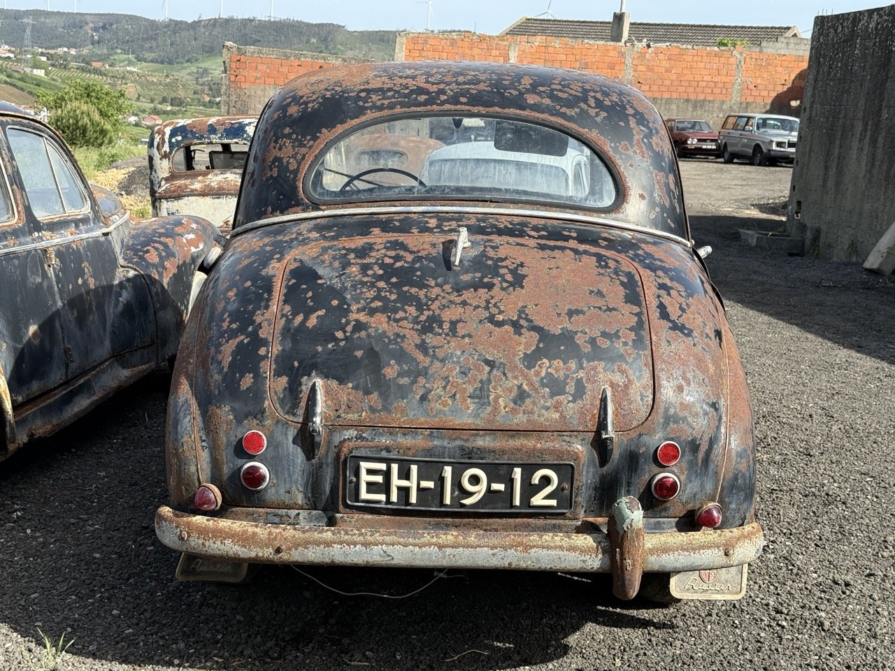 IMG_0431 – grande.jpeg