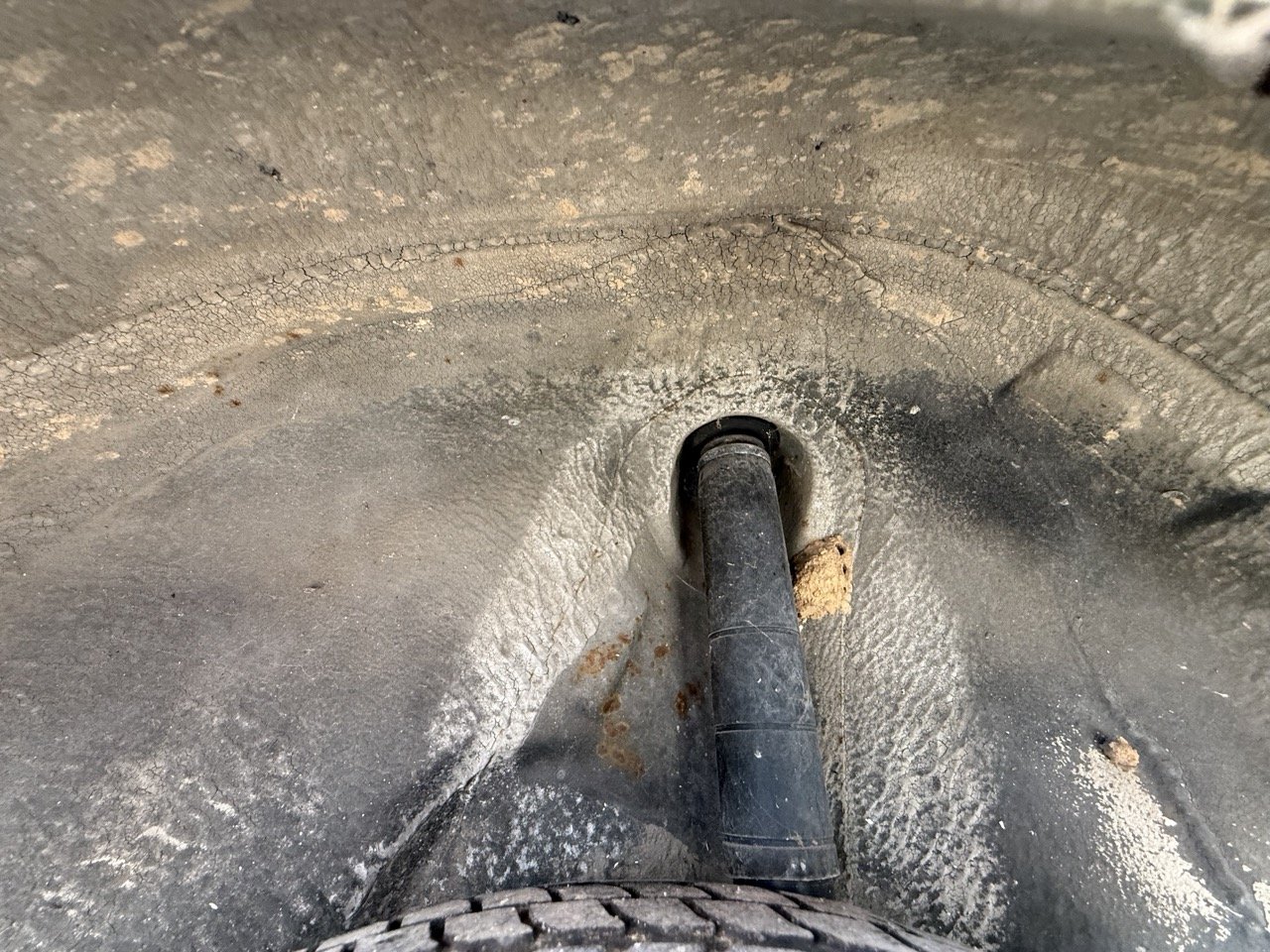 IMG_8656 – grande.jpeg