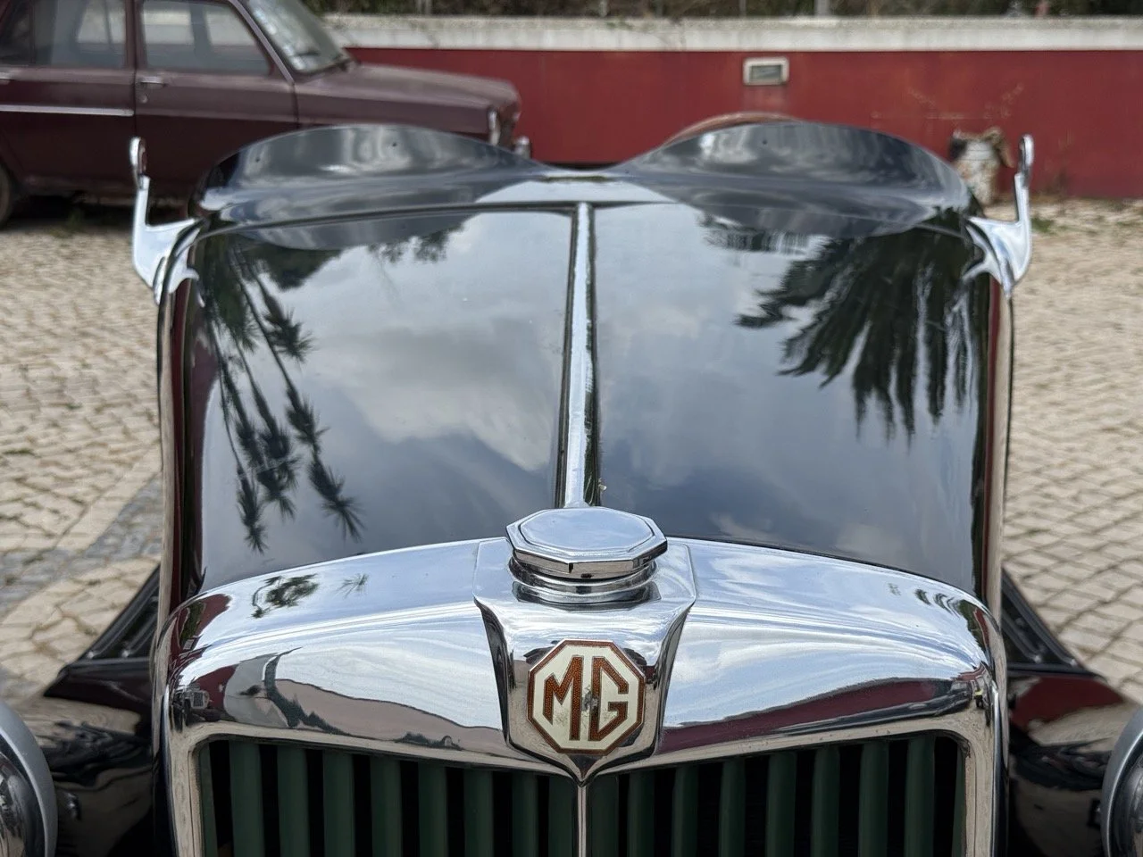 IMG_9741 – grande.jpeg