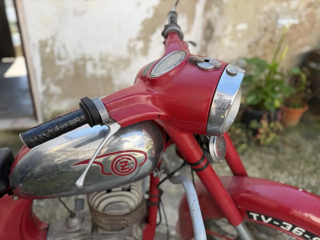 IMG_5906 – grande.jpeg