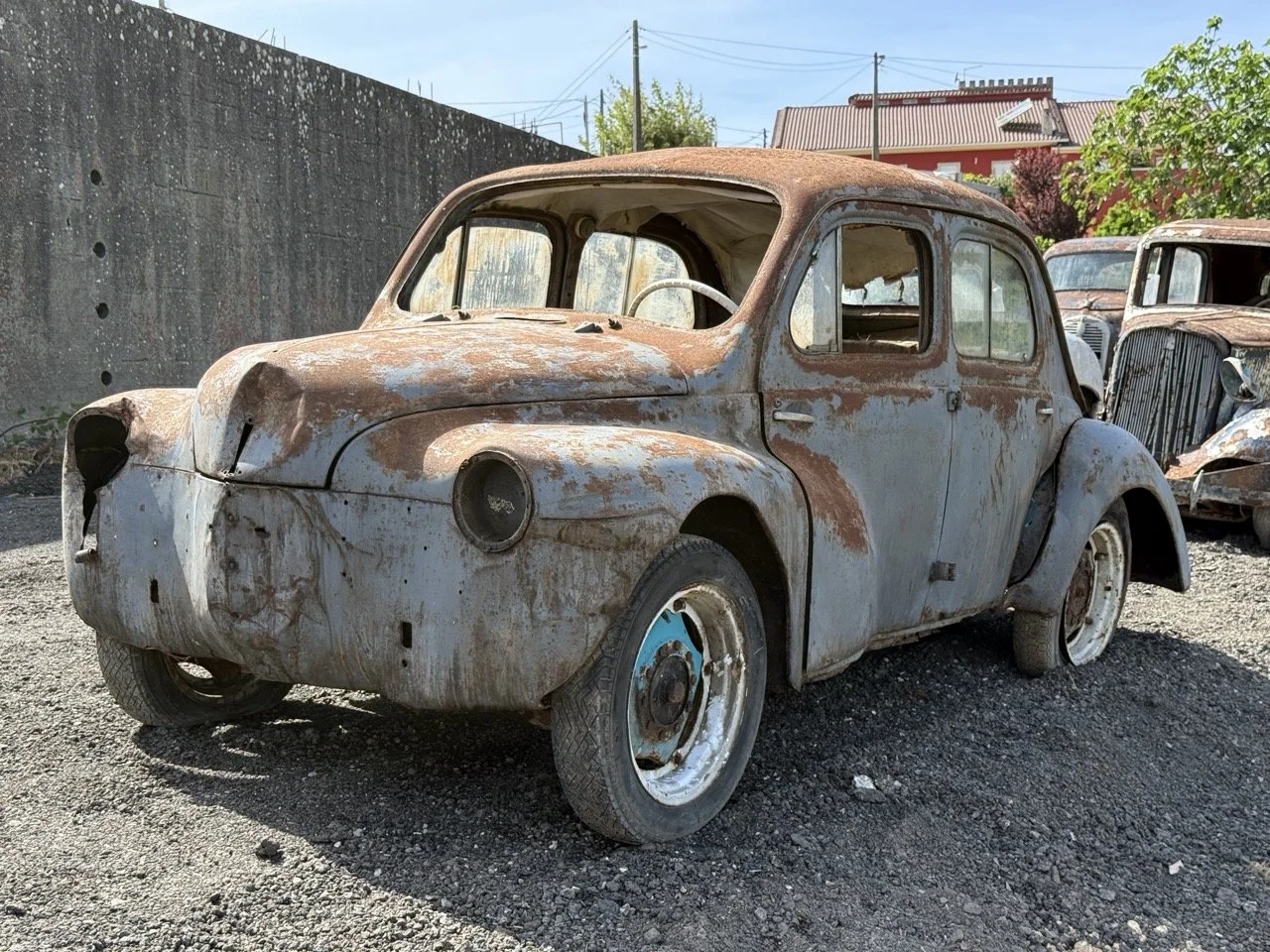 IMG_0264 – grande.jpeg