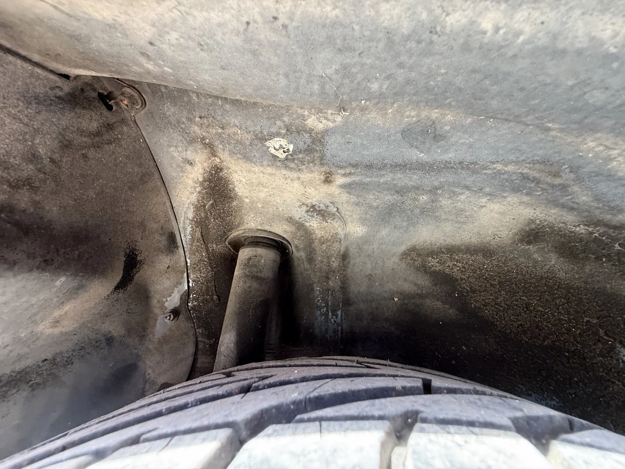 IMG_2509 – grande.jpeg