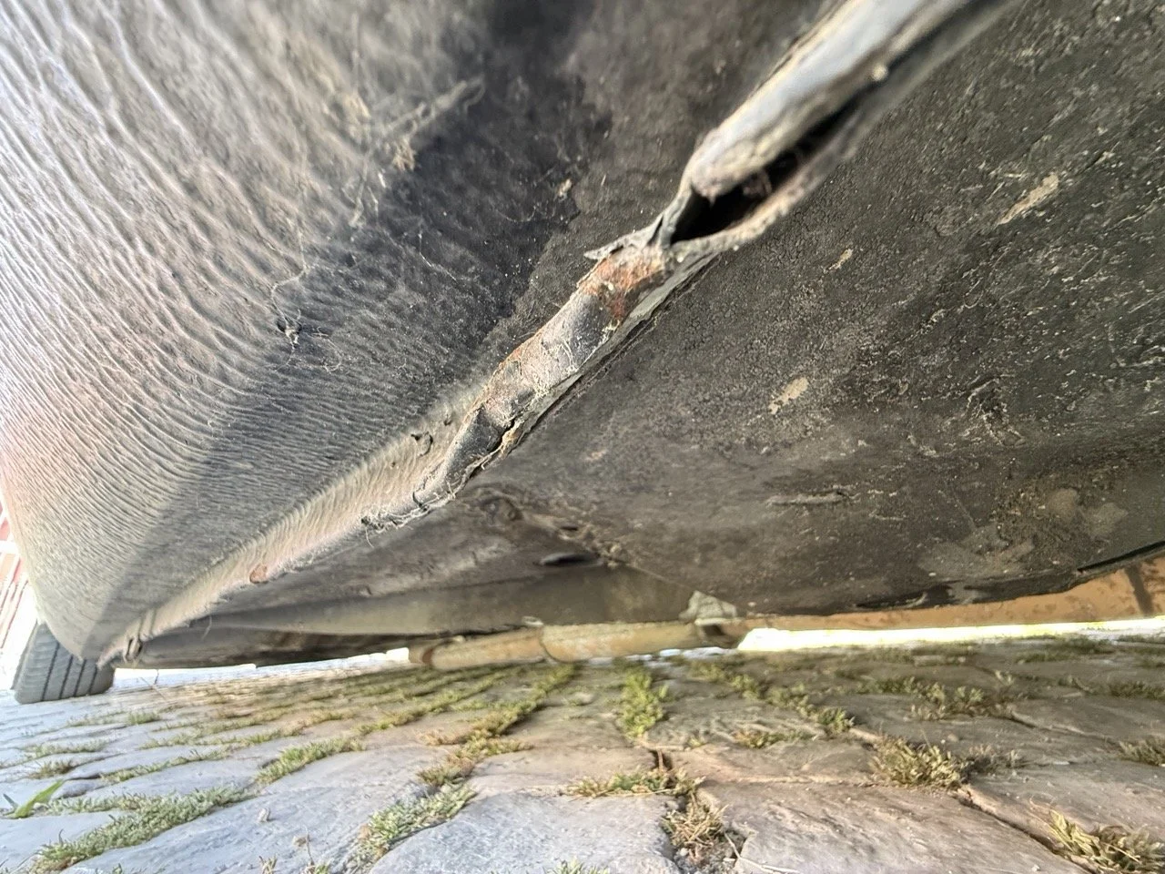 IMG_2635 – grande.jpeg