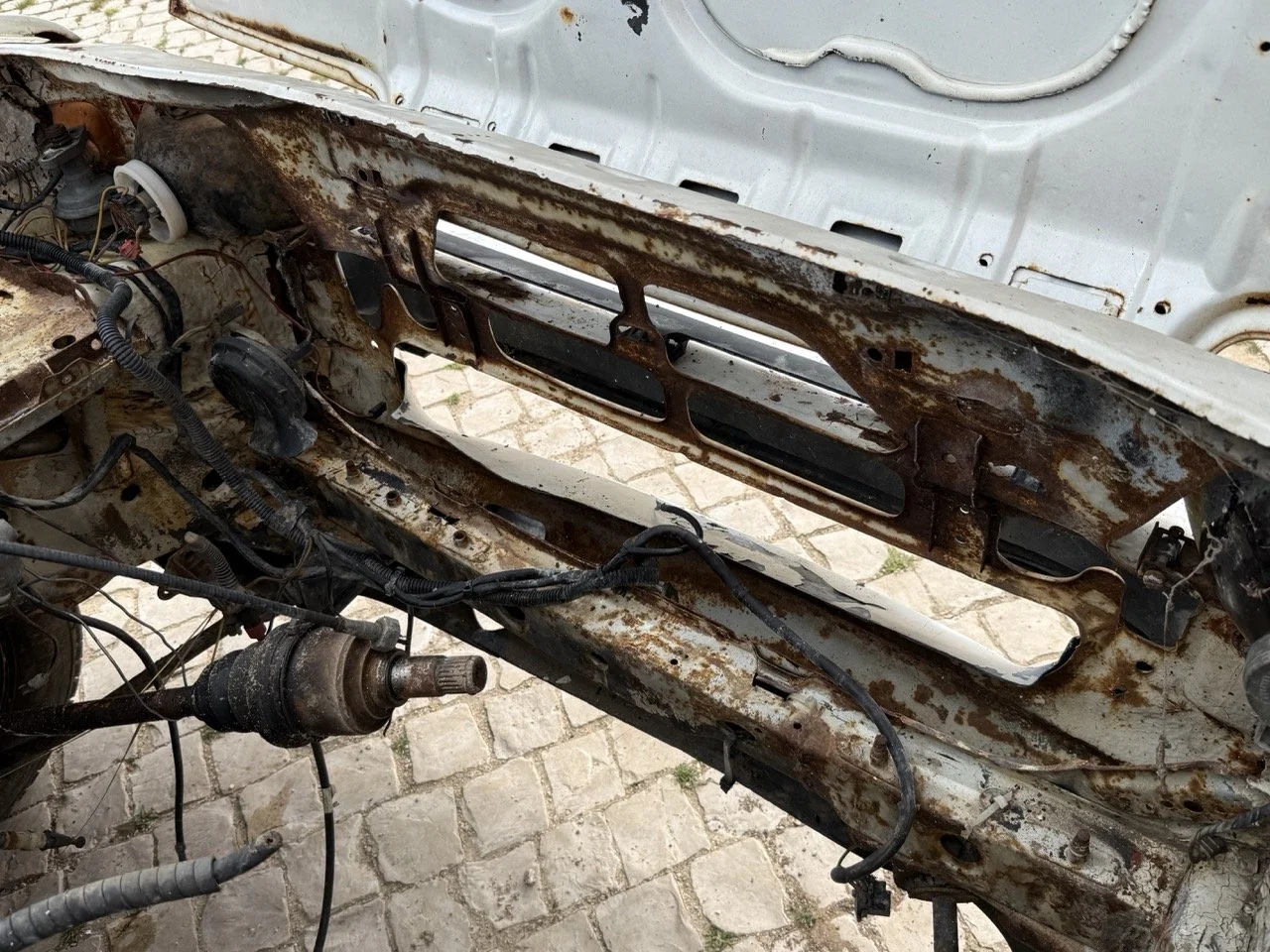 IMG_8557 – grande.jpeg