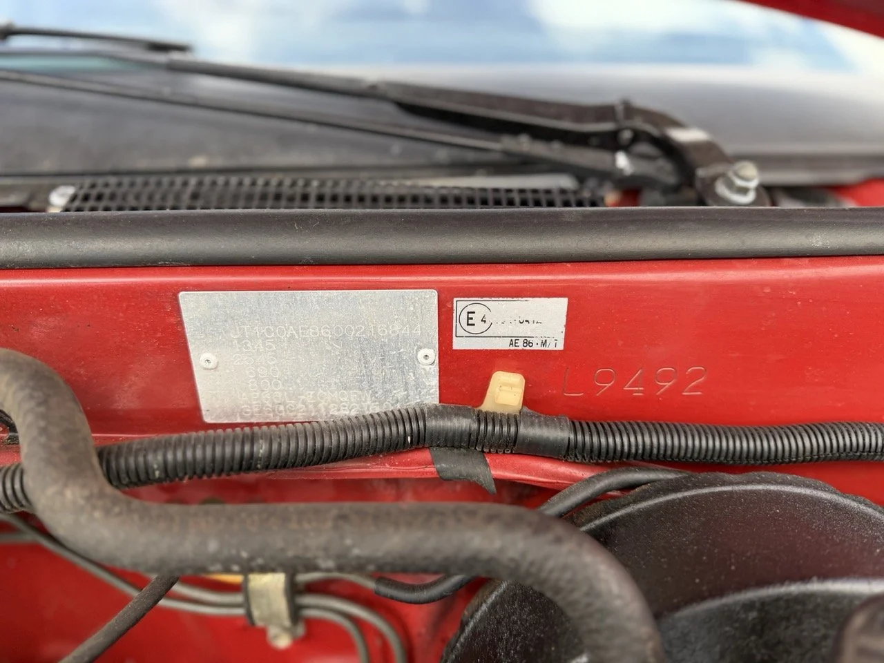 IMG_2355 – grande.jpeg