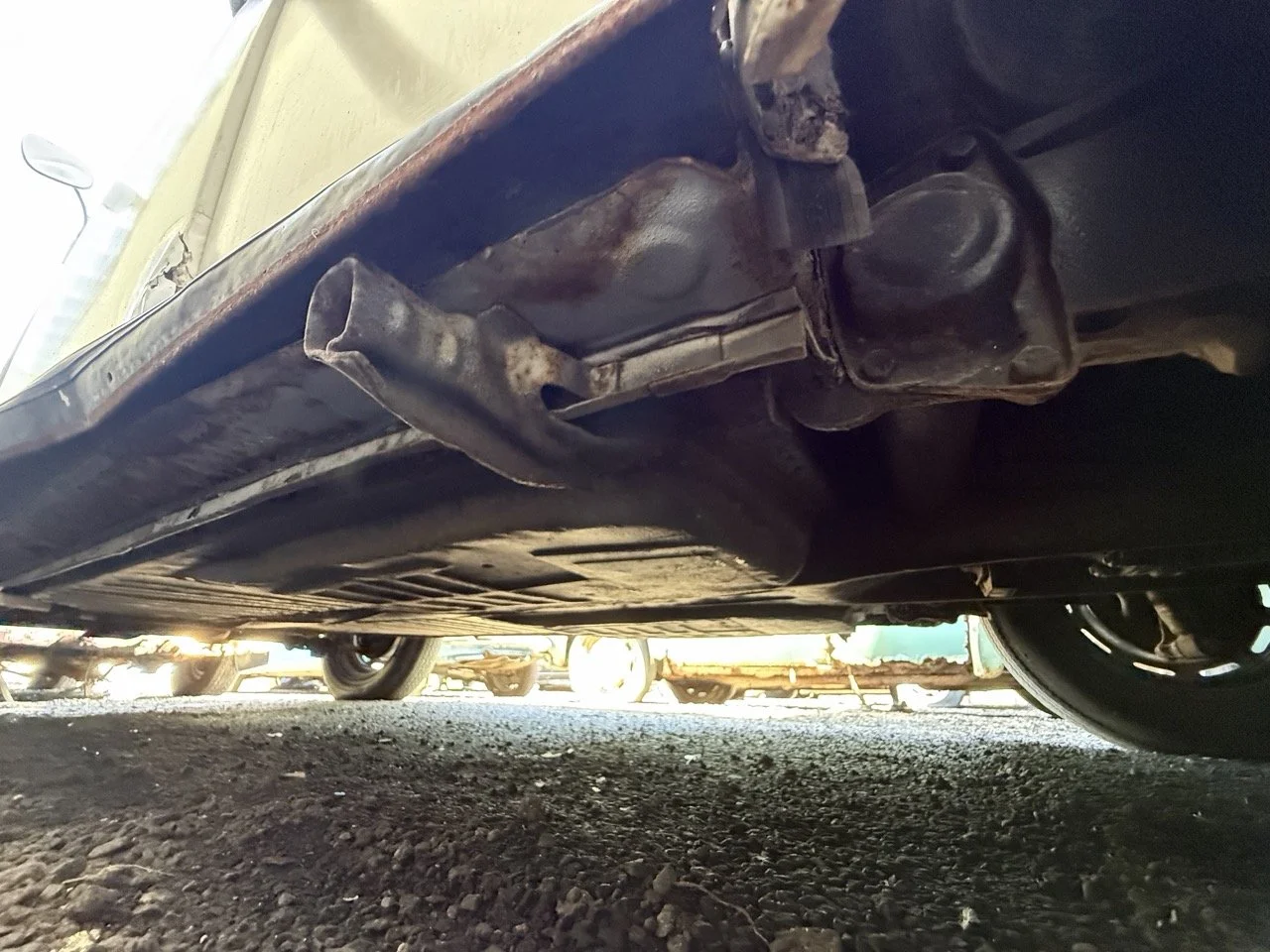 IMG_0720 – grande.jpeg