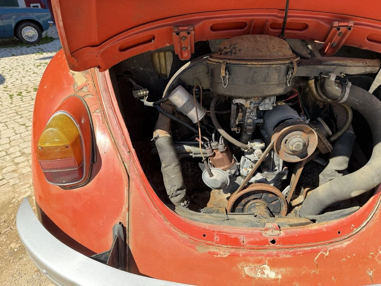 IMG_7556 – grande.jpeg