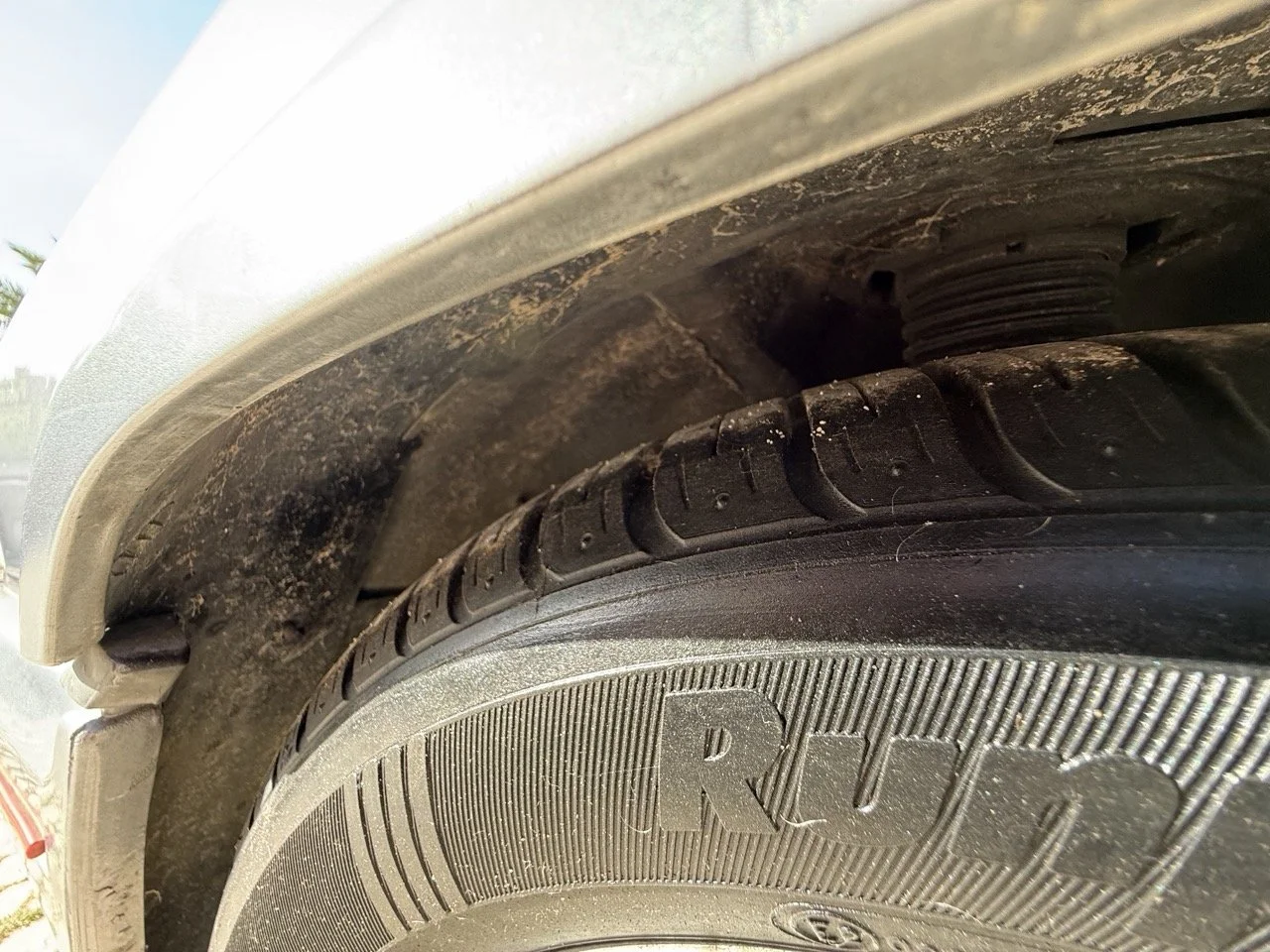 IMG_2615 – grande.jpeg