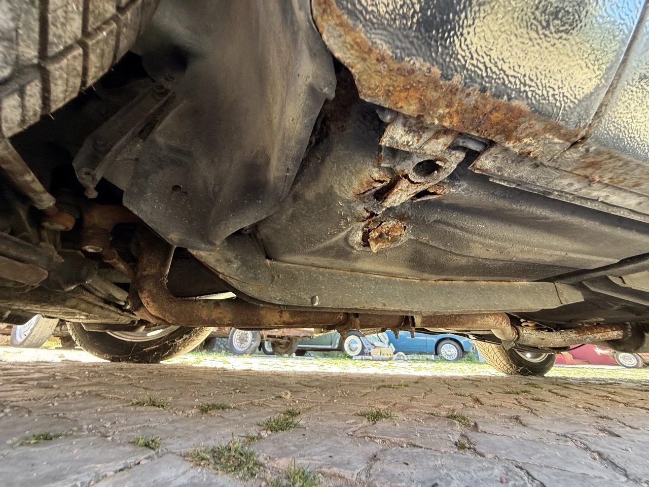 IMG_2244 – grande.jpeg