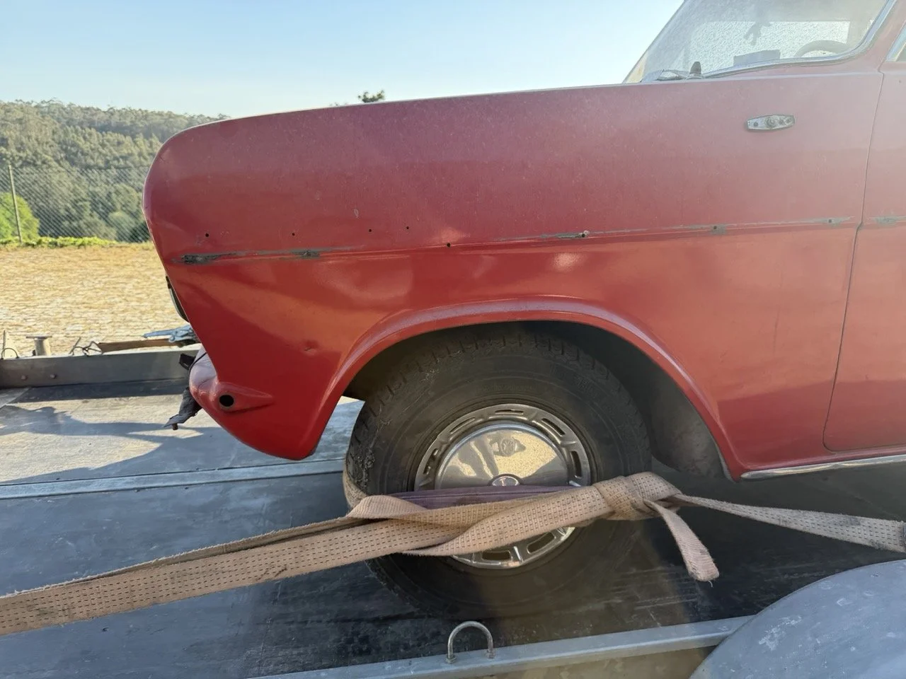 IMG_9055 – grande.jpeg