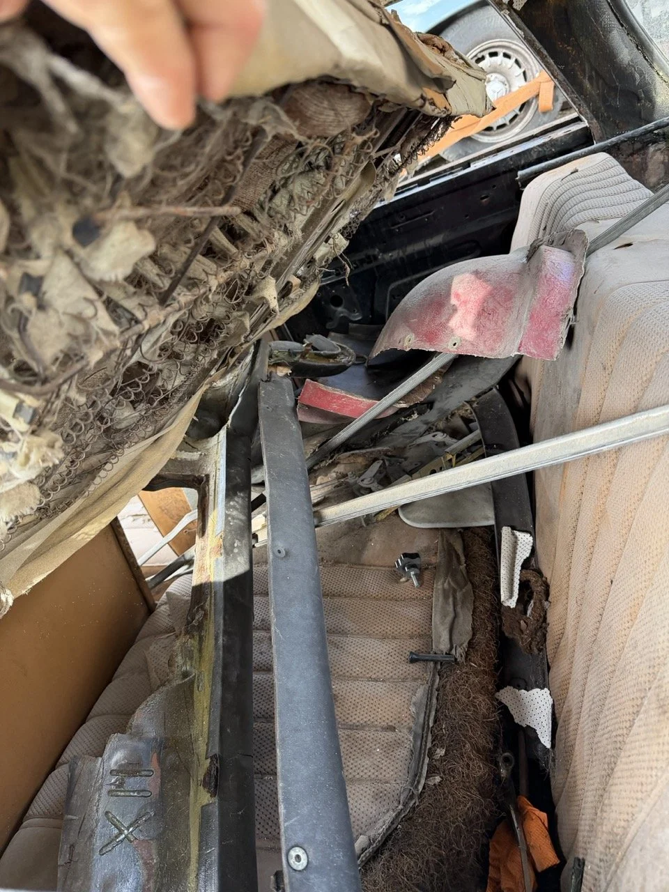 IMG_5238 – grande.jpeg