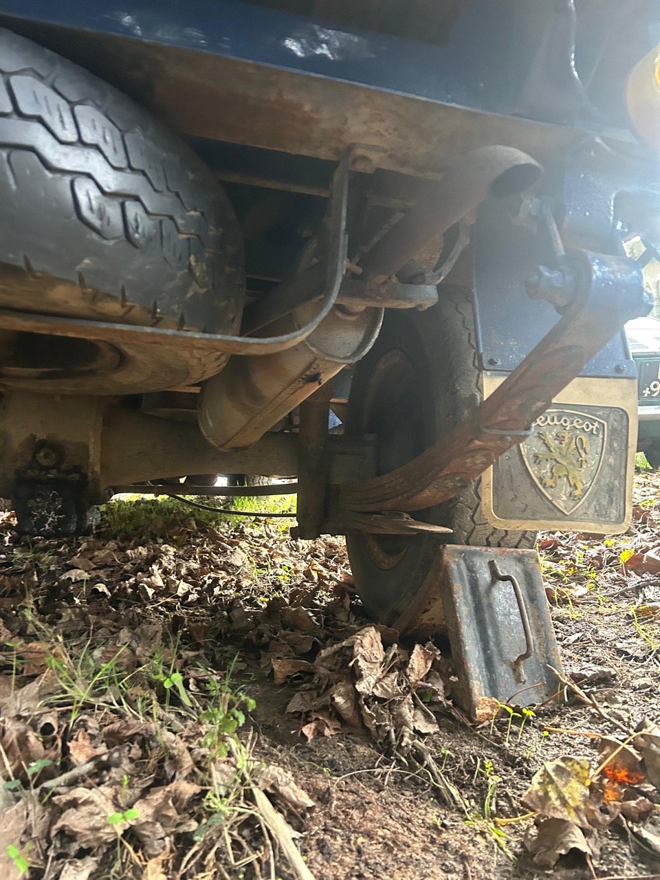 ae587a1a-e1d1-4e18-88c4-33f0adc75bc3 – grande.jpeg