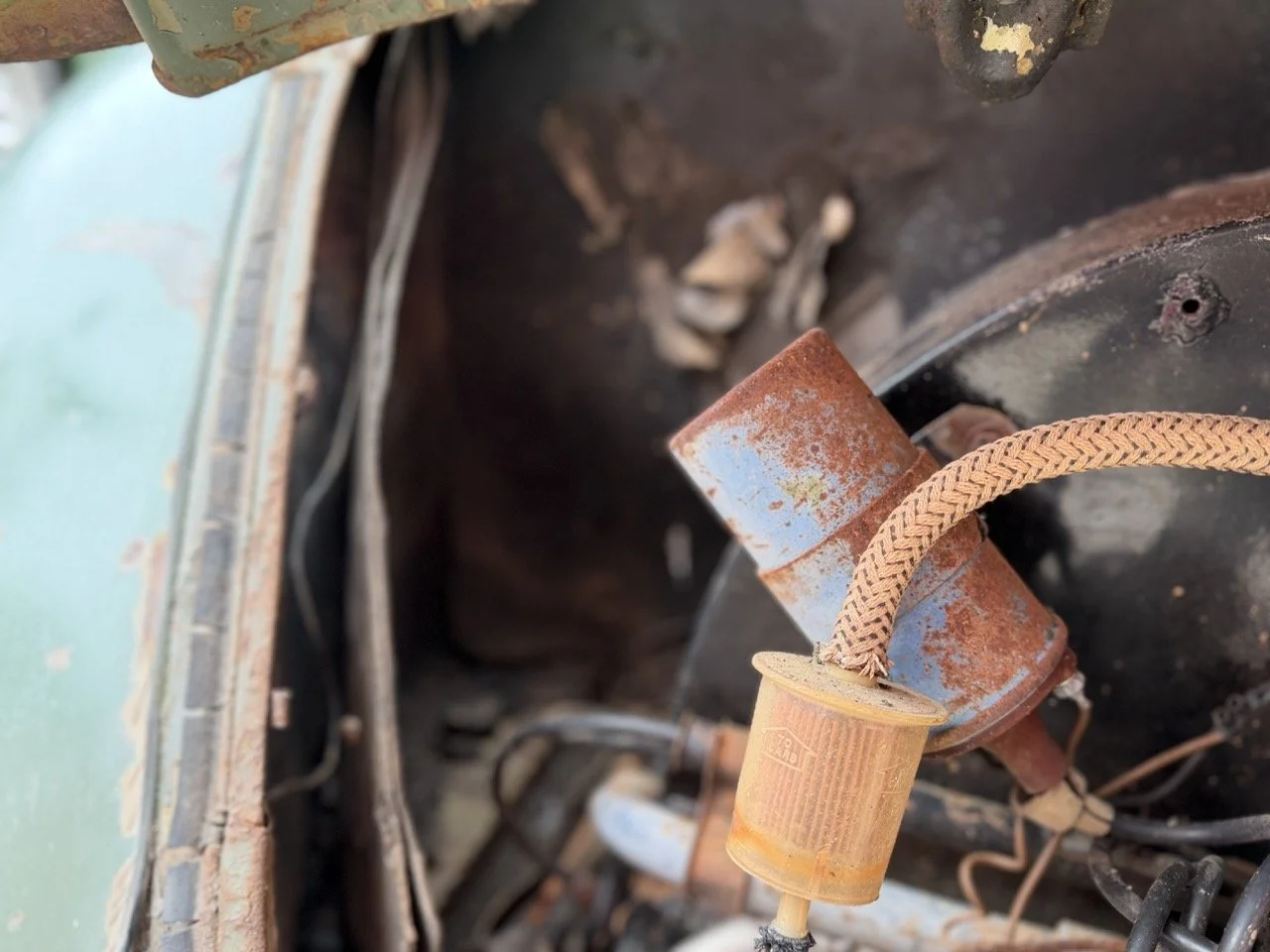 IMG_1165 – grande.jpeg