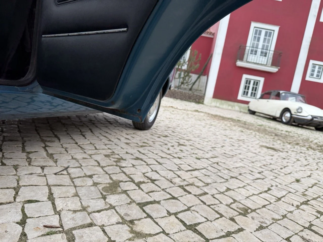 IMG_6379 – grande.jpeg