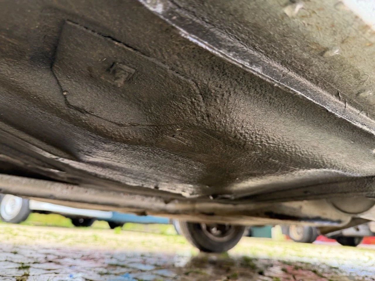 IMG_0647 – grande.jpeg