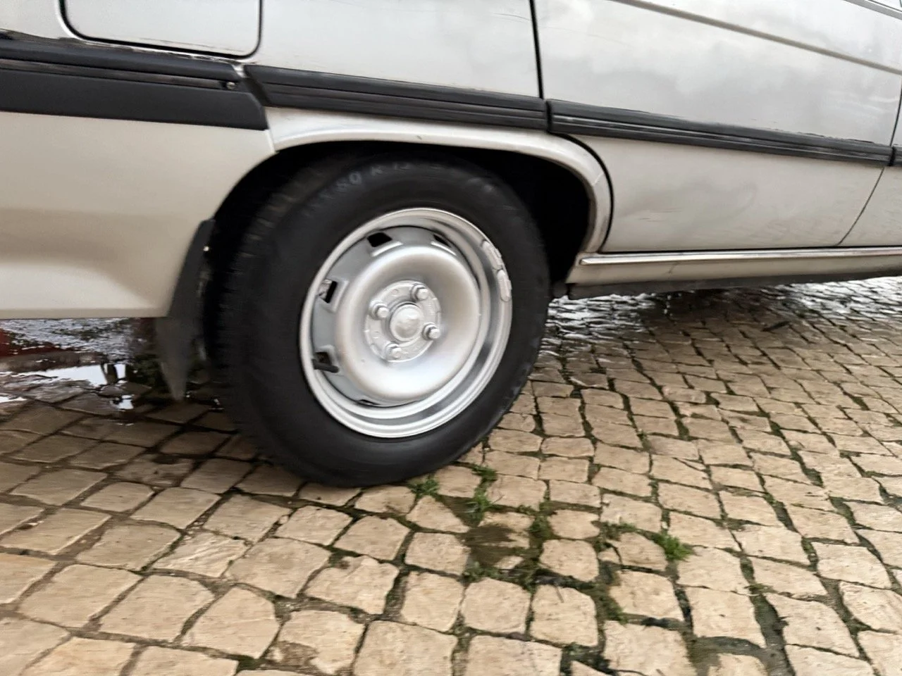 IMG_4768 3 – grande.jpeg