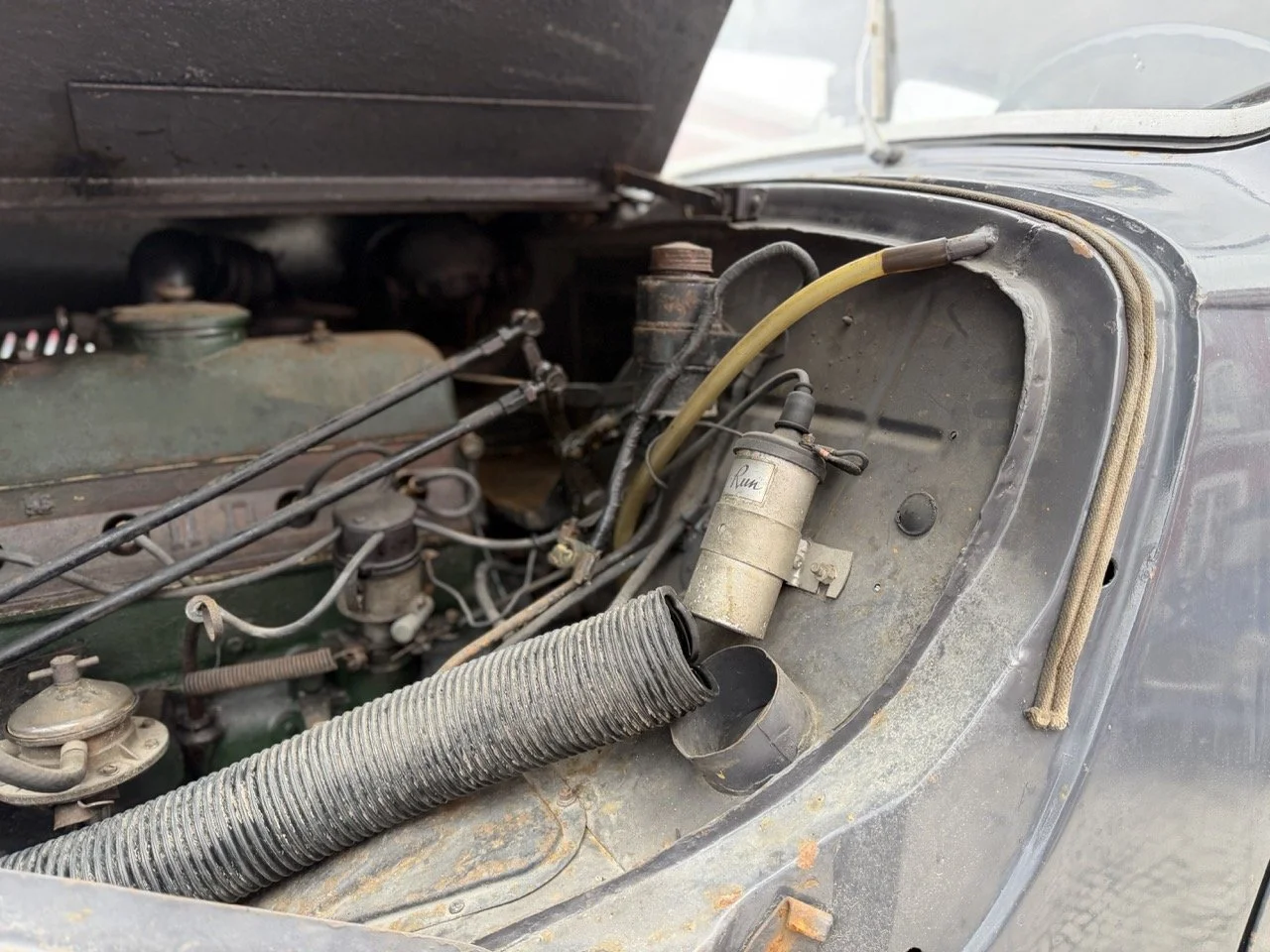 IMG_1855 – grande.jpeg