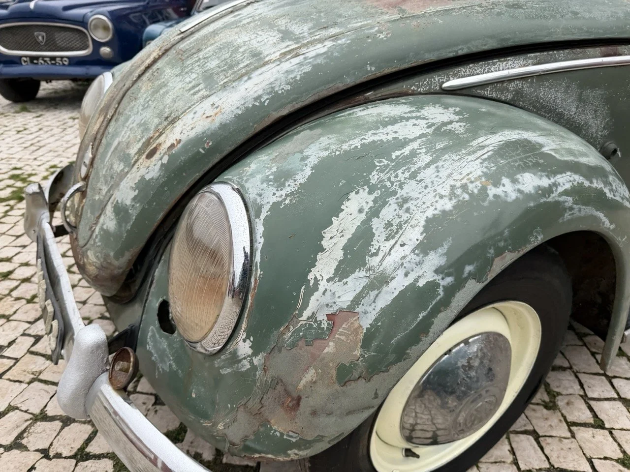 IMG_1205 – grande.jpeg