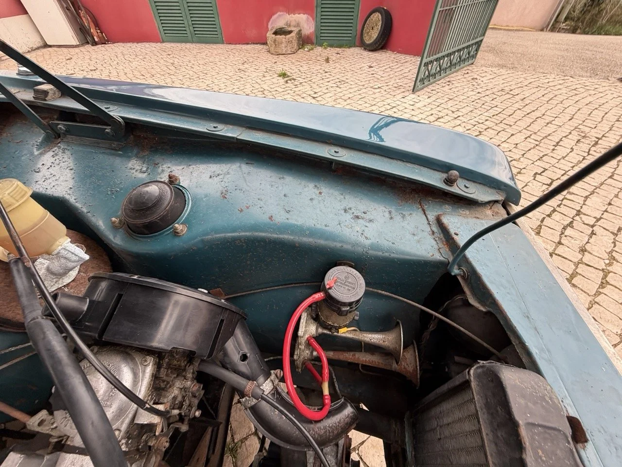 IMG_6301 – grande.jpeg