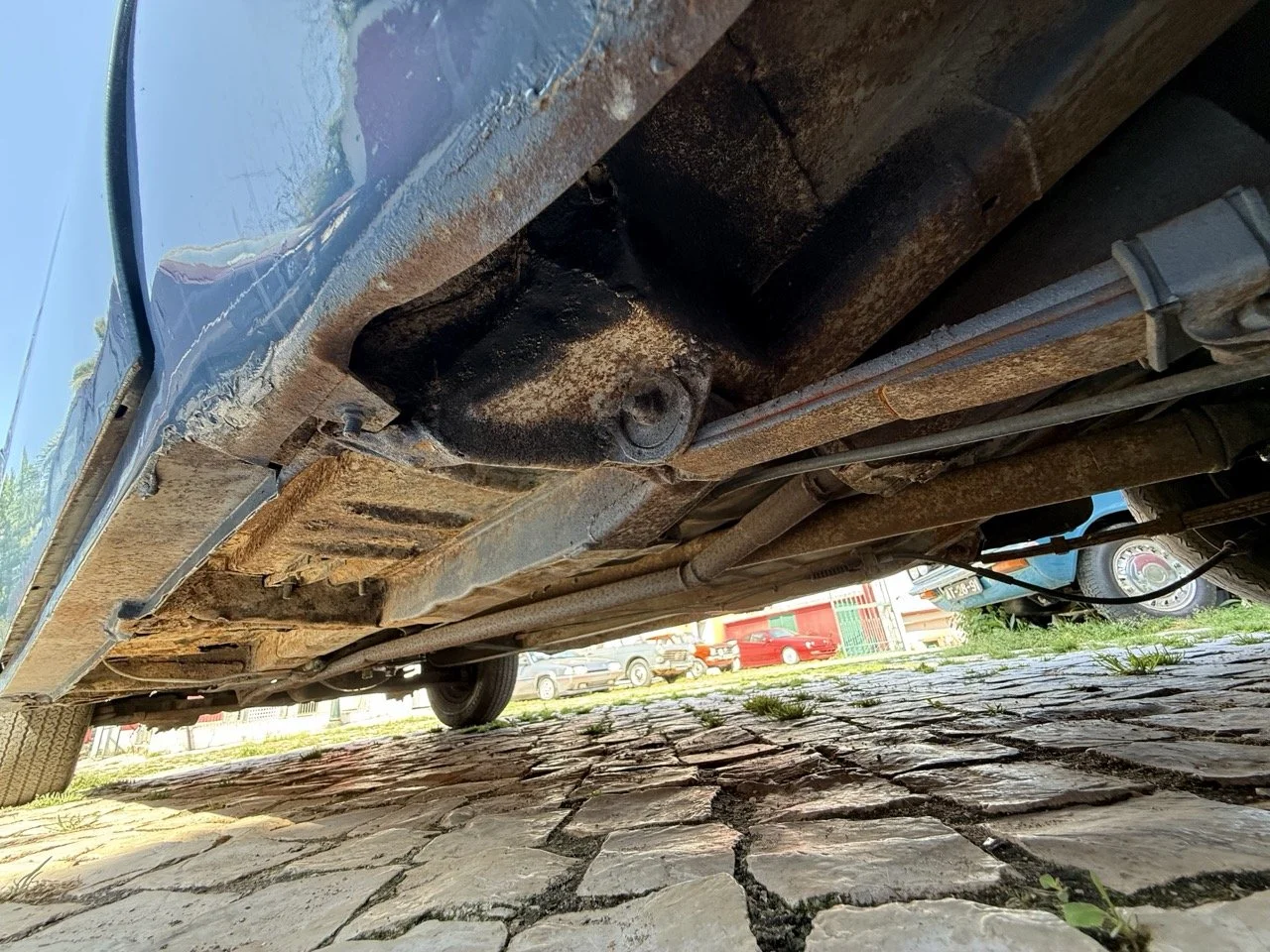 IMG_3572 – grande.jpeg