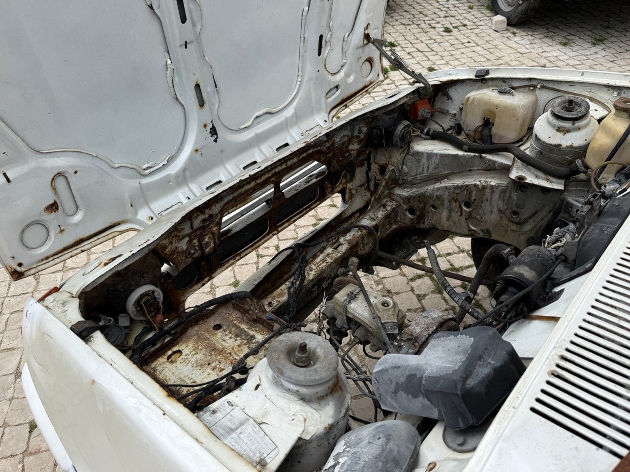 IMG_8545 – grande.jpeg