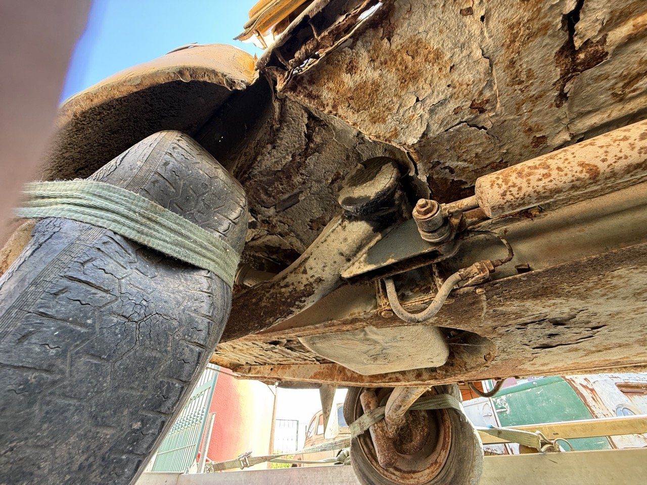 IMG_9134 – grande.jpeg