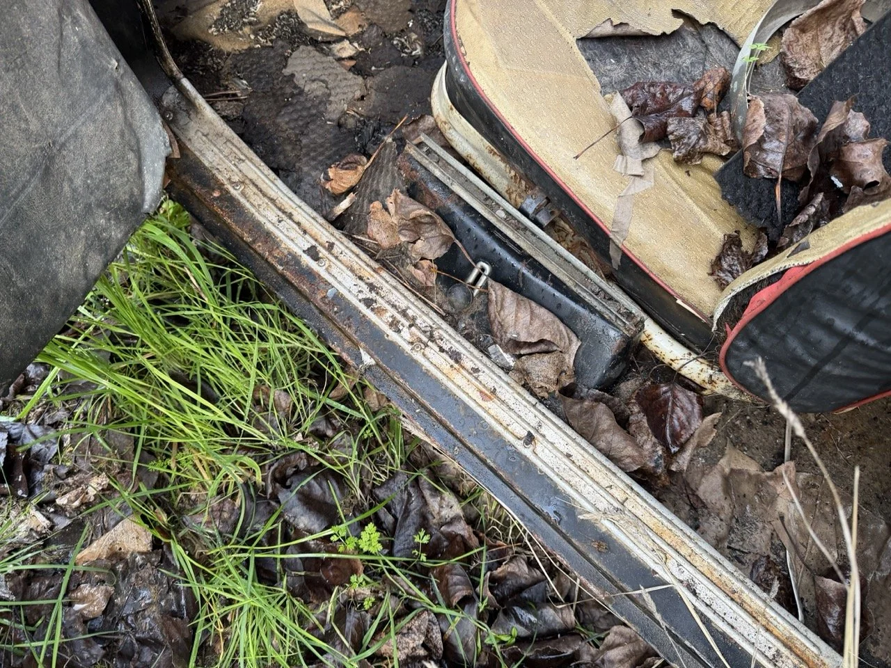 IMG_5084 – grande.jpeg