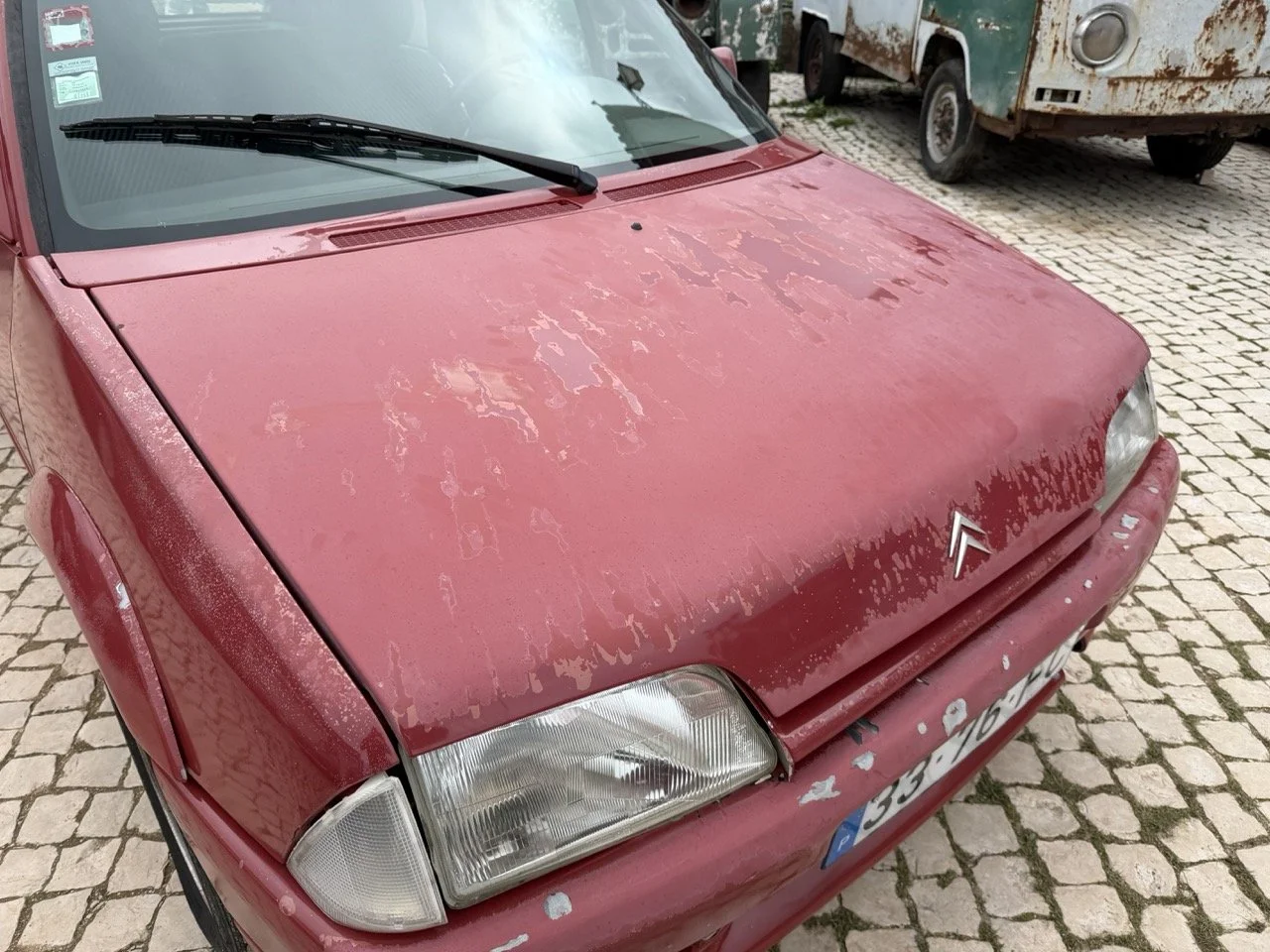 IMG_3635 – grande.jpeg