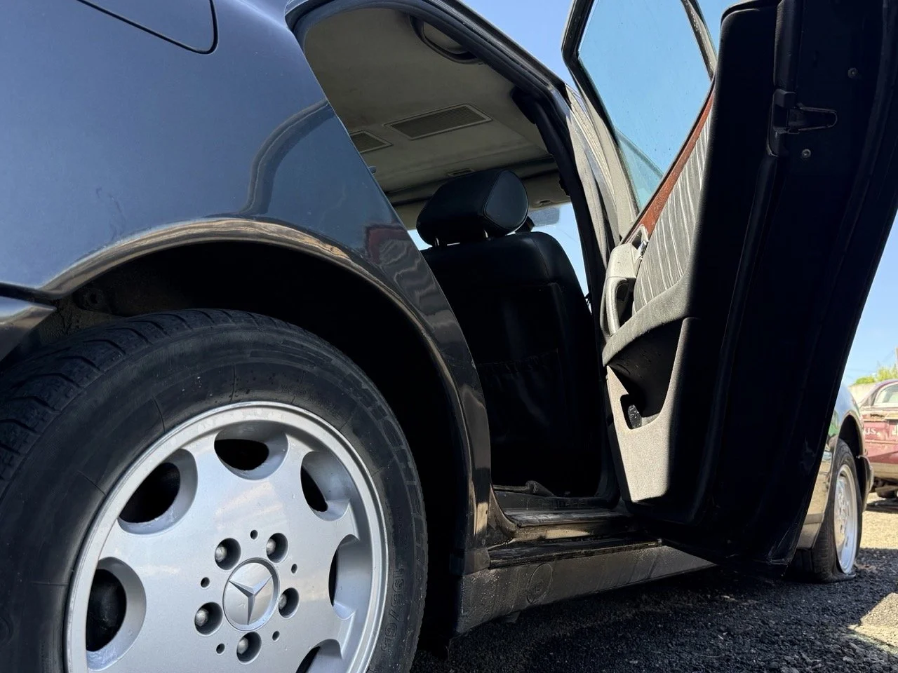 IMG_1752 – grande.jpeg