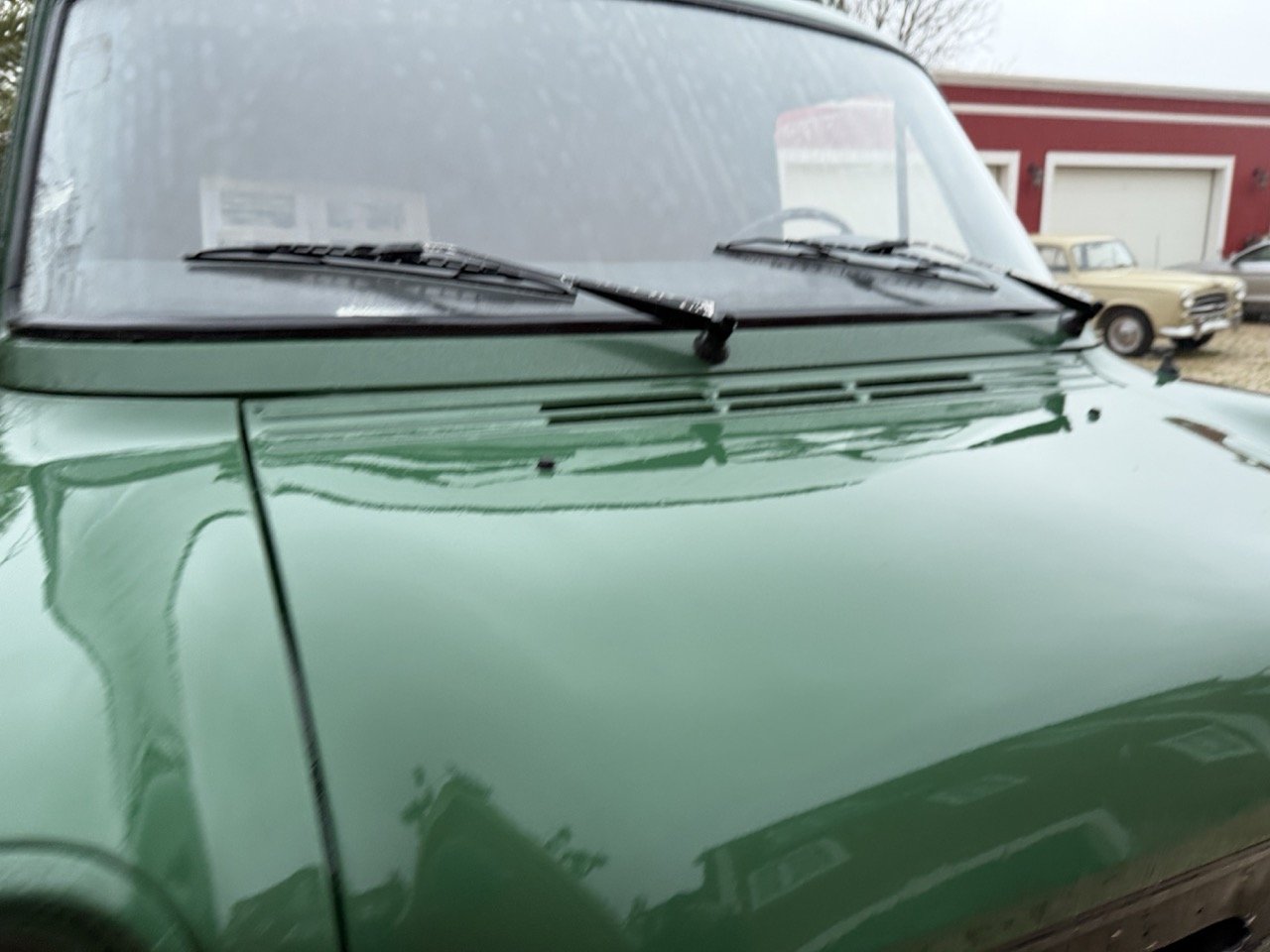 IMG_9967 – grande.jpeg