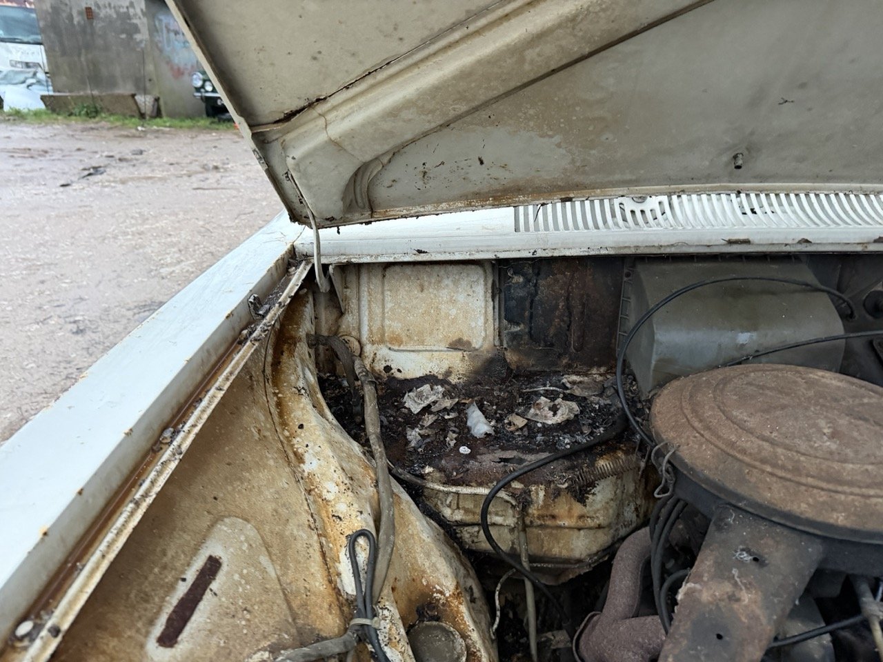 IMG_0159 – grande.jpeg