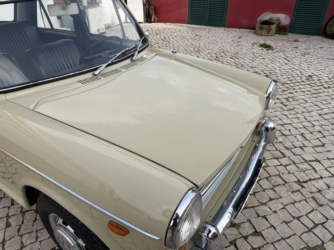 IMG_4081 – grande.jpeg