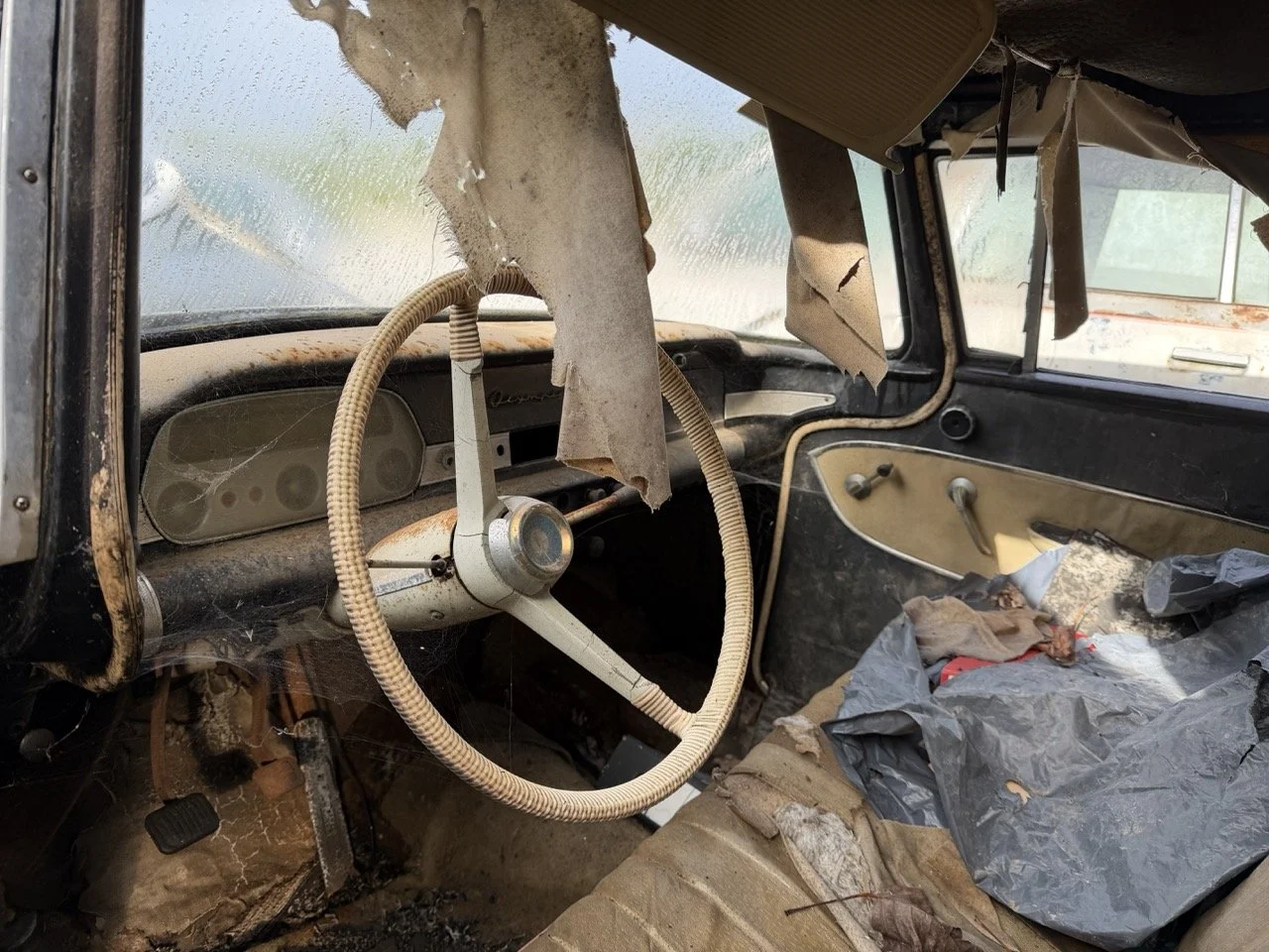 IMG_5085 – grande.jpeg