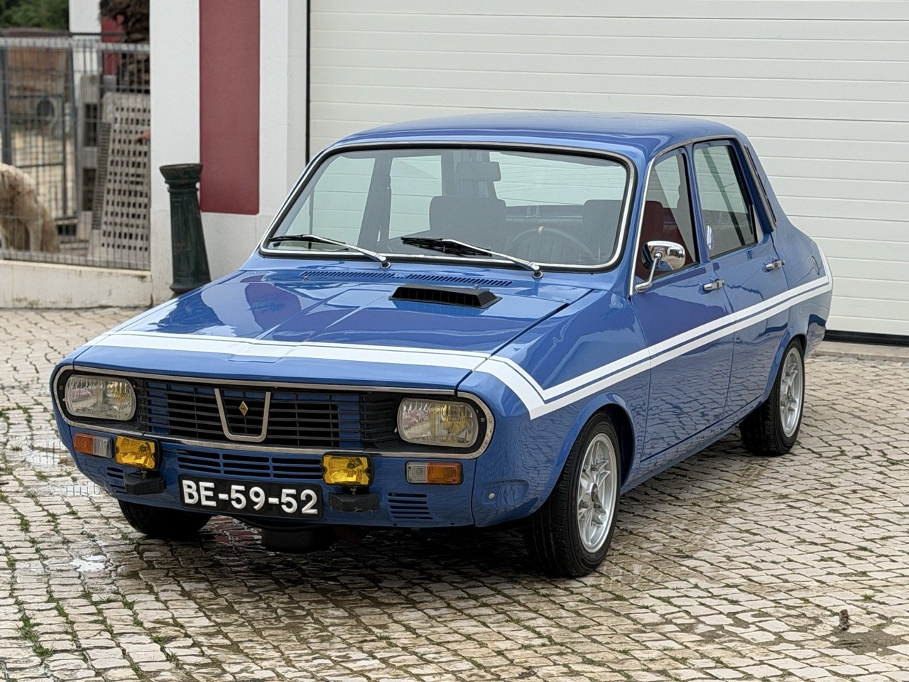 IMG_5905 – grande.jpeg