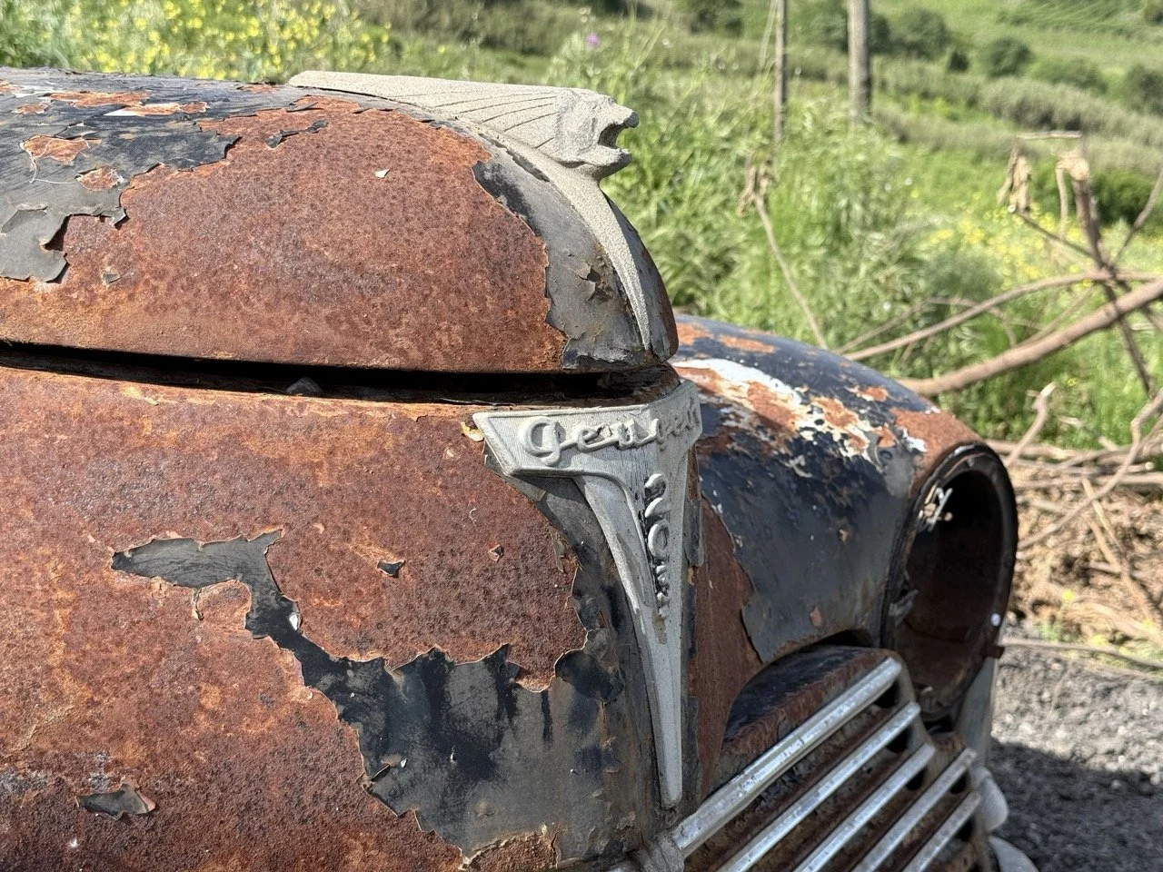 IMG_0395 – grande.jpeg