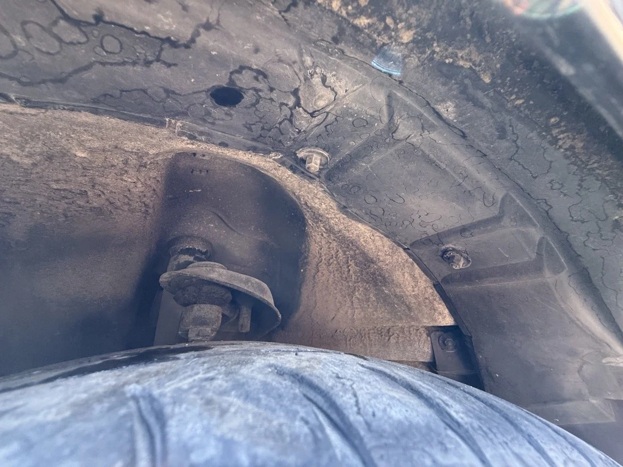 IMG_1813 – grande.jpeg