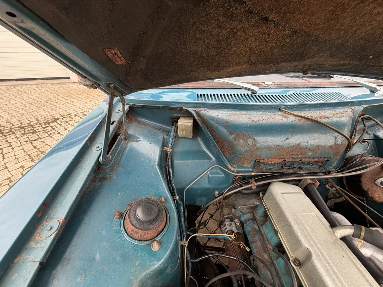 IMG_6299 – grande.jpeg