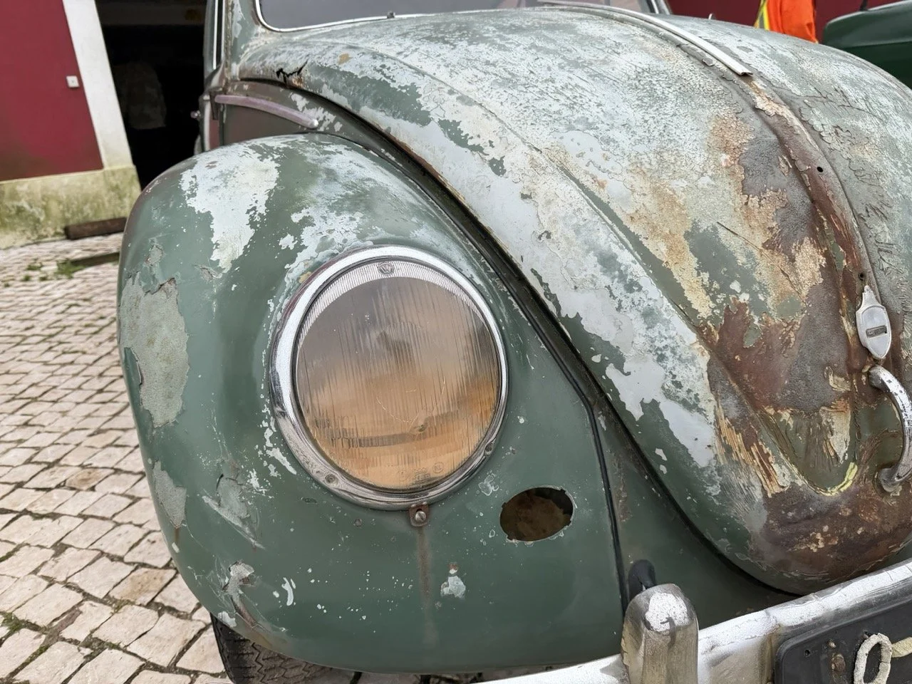 IMG_1207 – grande.jpeg