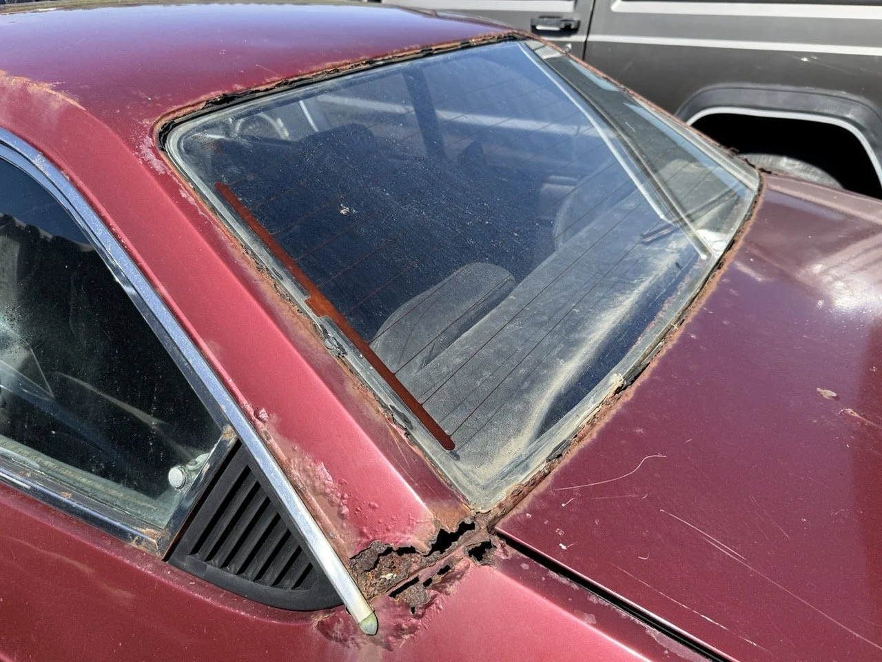 IMG_0950 – grande.jpeg