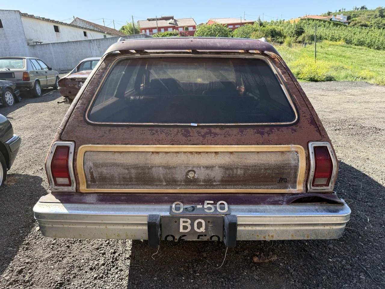 IMG_3007 – grande.jpeg