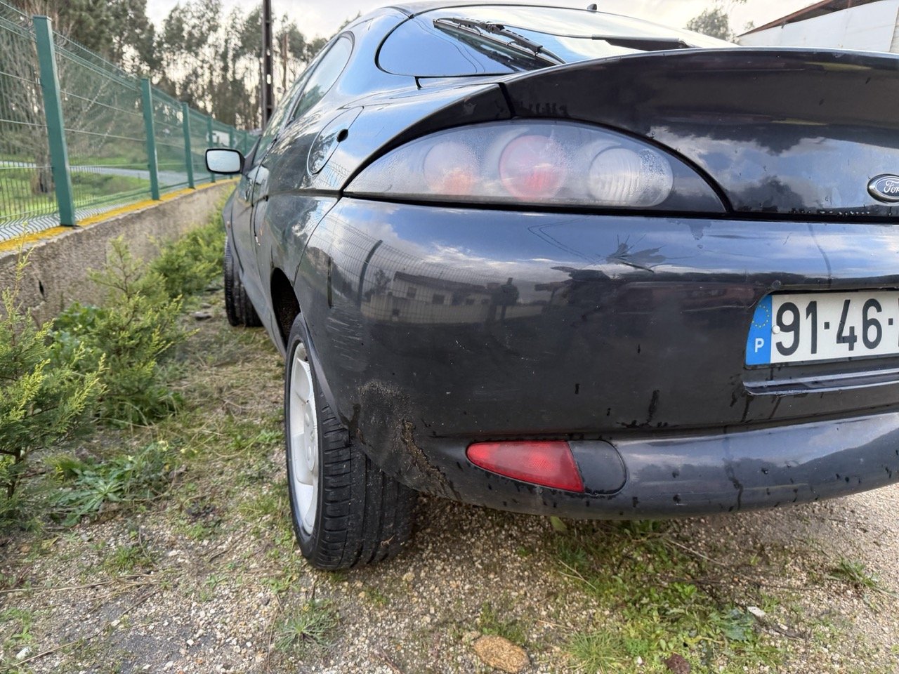 IMG_5334 – grande.jpeg