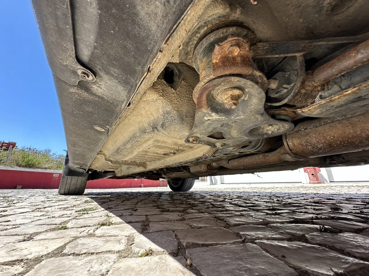 IMG_3129 – grande.jpeg